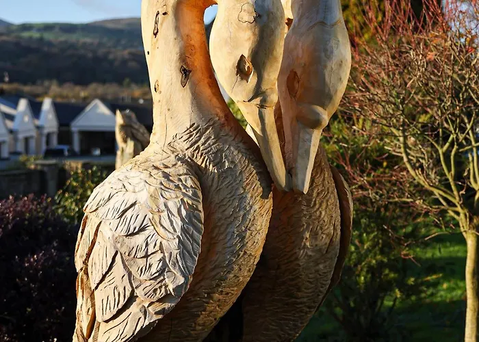 Hotel The Lakeside & Leisure Centre Killaloe